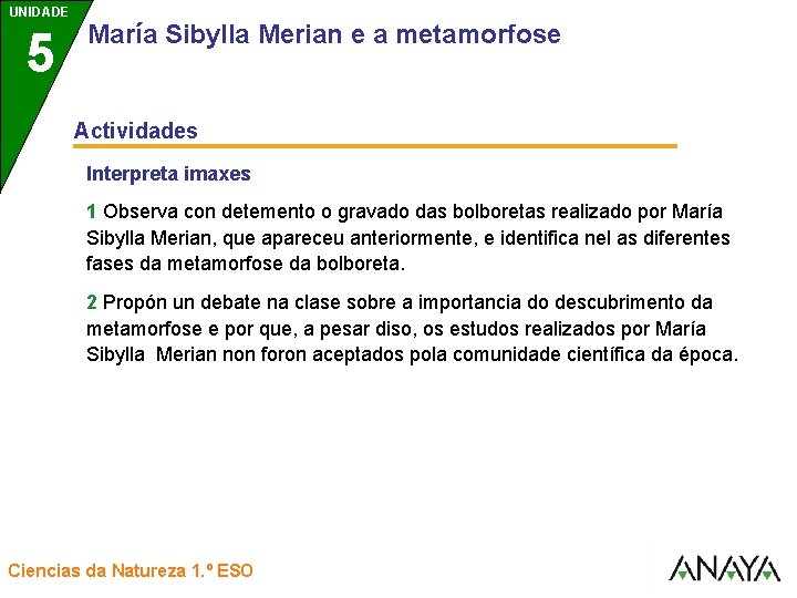 UNIDADE UNIDAD 5 3 María Sibylla Merian e a metamorfose Actividades Interpreta imaxes 1