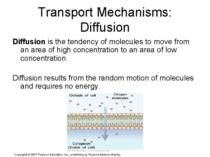 Transport Mechanisms: Diffusion is the tendency of molecules to move from an area of
