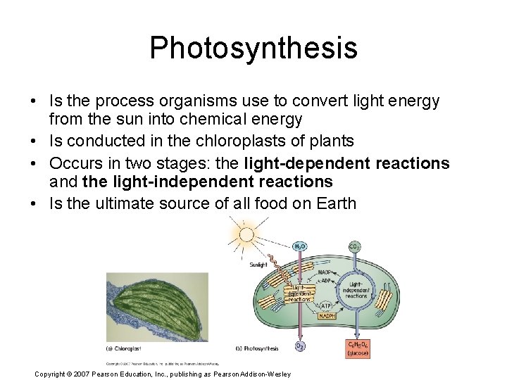 Photosynthesis • Is the process organisms use to convert light energy from the sun