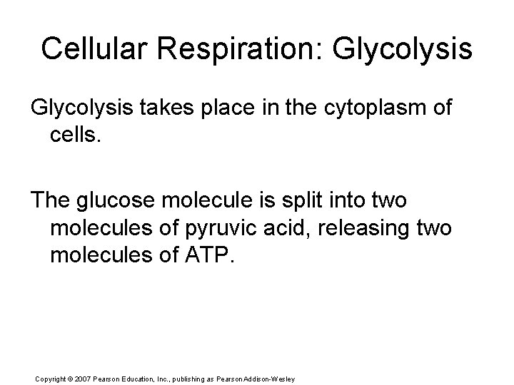 Cellular Respiration: Glycolysis takes place in the cytoplasm of cells. The glucose molecule is