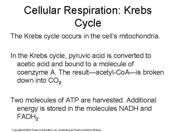 Cellular Respiration: Krebs Cycle The Krebs cycle occurs in the cell’s mitochondria. In the