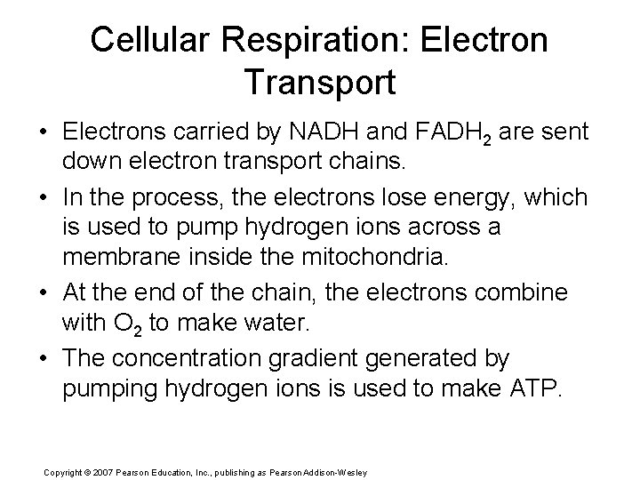 Cellular Respiration: Electron Transport • Electrons carried by NADH and FADH 2 are sent