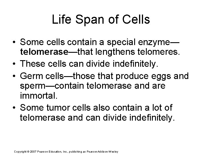 Life Span of Cells • Some cells contain a special enzyme— telomerase—that lengthens telomeres.