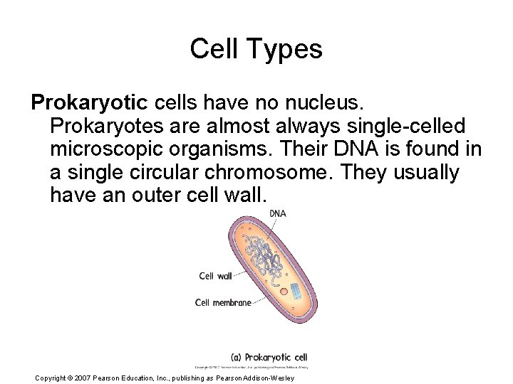 Cell Types Prokaryotic cells have no nucleus. Prokaryotes are almost always single-celled microscopic organisms.