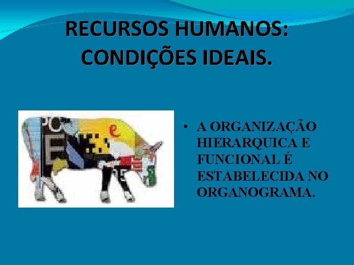 RECURSOS HUMANOS: CONDIÇÕES IDEAIS. • A ORGANIZAÇÃO HIERARQUICA E FUNCIONAL É ESTABELECIDA NO ORGANOGRAMA.