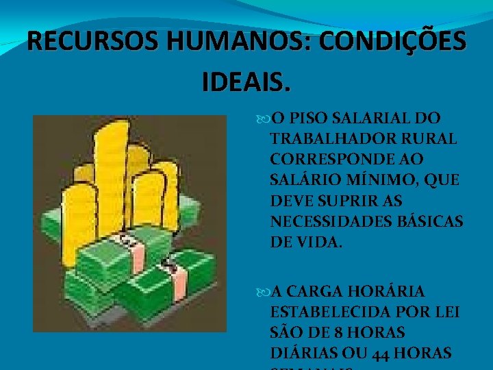 RECURSOS HUMANOS: CONDIÇÕES IDEAIS. O PISO SALARIAL DO TRABALHADOR RURAL CORRESPONDE AO SALÁRIO MÍNIMO,