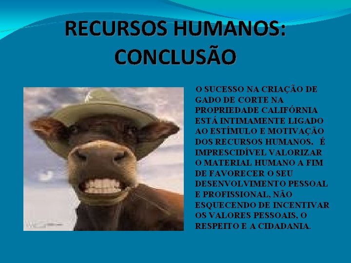 RECURSOS HUMANOS: CONCLUSÃO O SUCESSO NA CRIAÇÃO DE GADO DE CORTE NA PROPRIEDADE CALIFÓRNIA