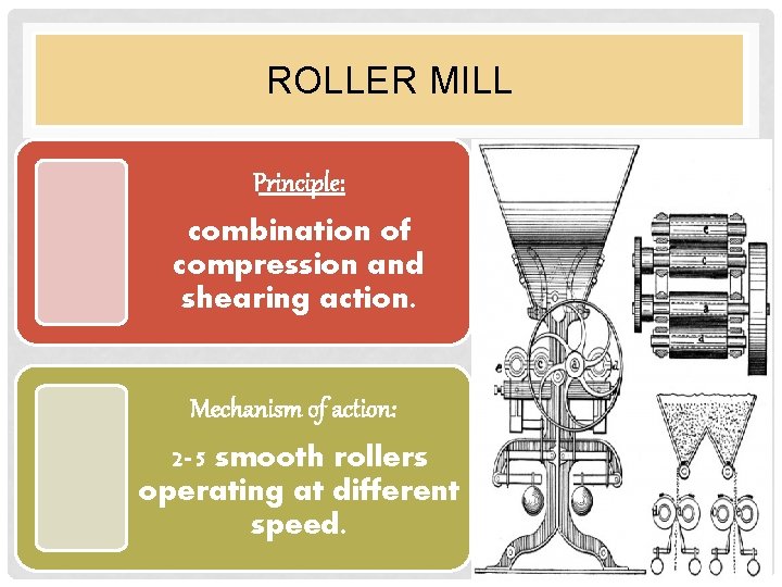 ROLLER MILL Principle: combination of compression and shearing action. Mechanism of action: 2 -5