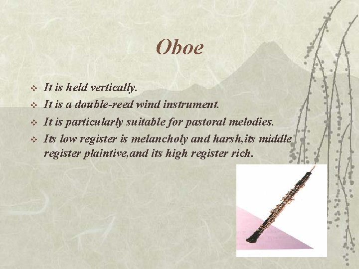 Oboe v v It is held vertically. It is a double-reed wind instrument. It