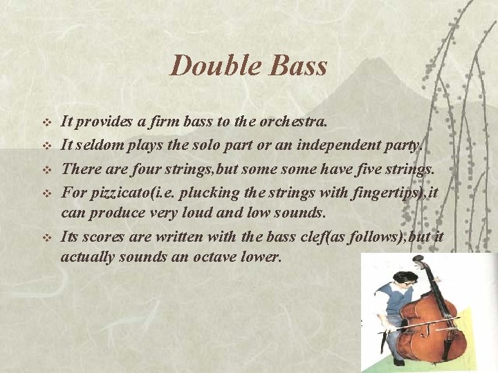 Double Bass v v v It provides a firm bass to the orchestra. It