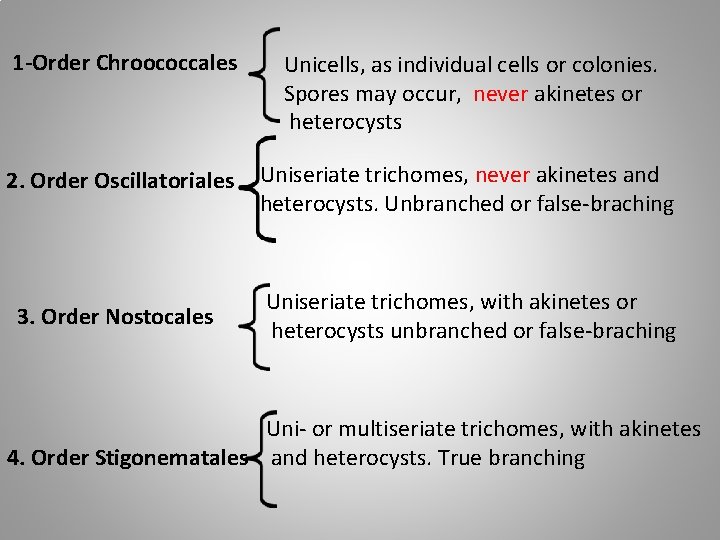 1 -Order Chroococcales Unicells, as individual cells or colonies. Spores may occur, never akinetes 1 -Order Chroococcales Unicells, as individual cells or colonies. Spores may occur, never akinetes