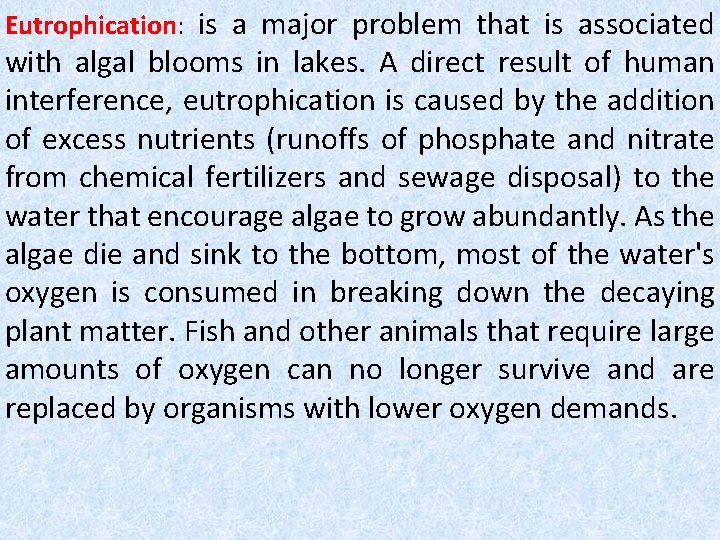 Eutrophication: is a major problem that is associated with algal blooms in lakes. A Eutrophication: is a major problem that is associated with algal blooms in lakes. A