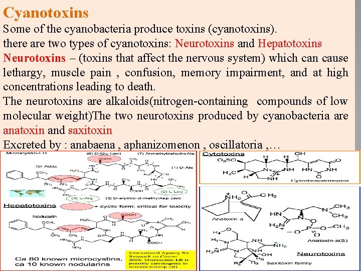 Cyanotoxins Some of the cyanobacteria produce toxins (cyanotoxins). there are two types of cyanotoxins: