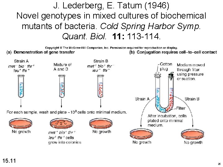 J. Lederberg, E. Tatum (1946) Novel genotypes in mixed cultures of biochemical mutants of