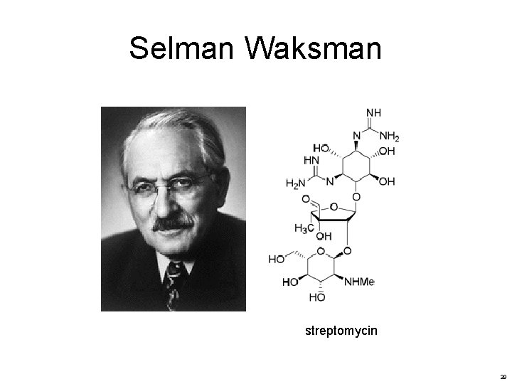 Selman Waksman streptomycin 29 