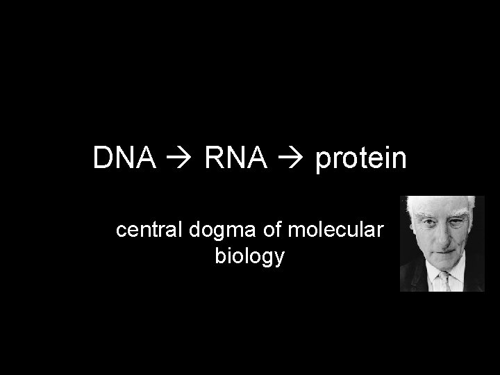 DNA RNA protein central dogma of molecular biology MCB 140, 2/25/05 3 