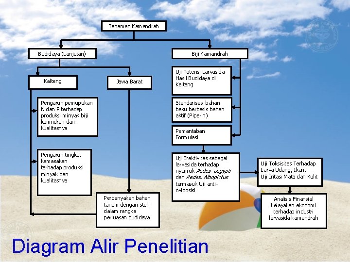 Tanaman Kamandrah Budidaya (Lanjutan) Kalteng Biji Kamandrah Jawa Barat Pengaruh pemupukan N dan P