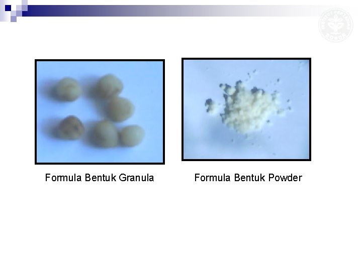 Formula Bentuk Granula Formula Bentuk Powder 