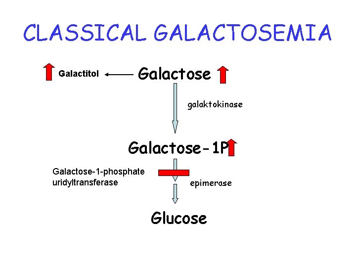 CLASSICAL GALACTOSEMIA Galactitol Galactose galaktokinase Galactose-1 P Galactose-1 -phosphate uridyltransferase epimerase Glucose 