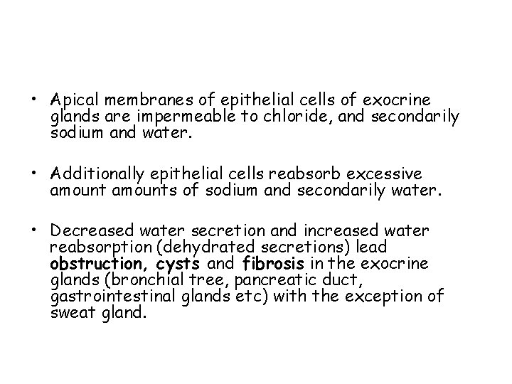  • Apical membranes of epithelial cells of exocrine glands are impermeable to chloride,