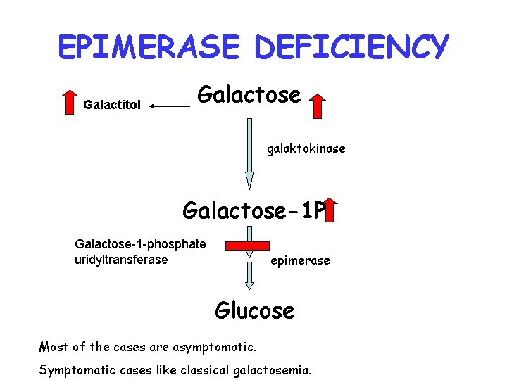 EPIMERASE DEFICIENCY Galactitol Galactose galaktokinase Galactose-1 P Galactose-1 -phosphate uridyltransferase epimerase Glucose Most of