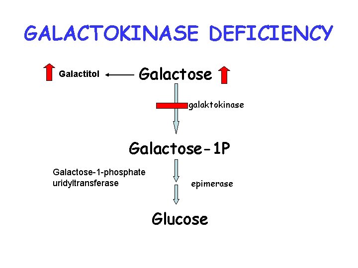 GALACTOKINASE DEFICIENCY Galactitol Galactose galaktokinase Galactose-1 P Galactose-1 -phosphate uridyltransferase epimerase Glucose 