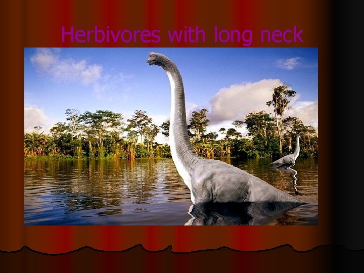 Herbivores with long neck 