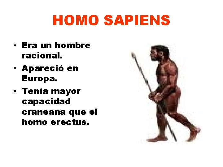 HOMO SAPIENS • Era un hombre racional. • Apareció en Europa. • Tenía mayor