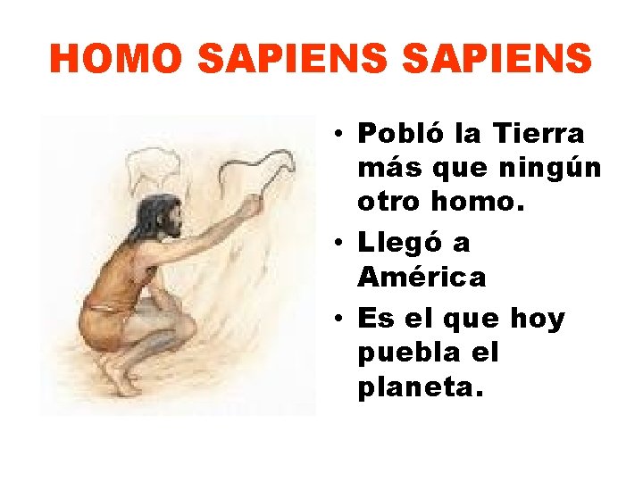 HOMO SAPIENS • Pobló la Tierra más que ningún otro homo. • Llegó a