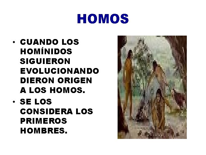 HOMOS • CUANDO LOS HOMÍNIDOS SIGUIERON EVOLUCIONANDO DIERON ORIGEN A LOS HOMOS. • SE