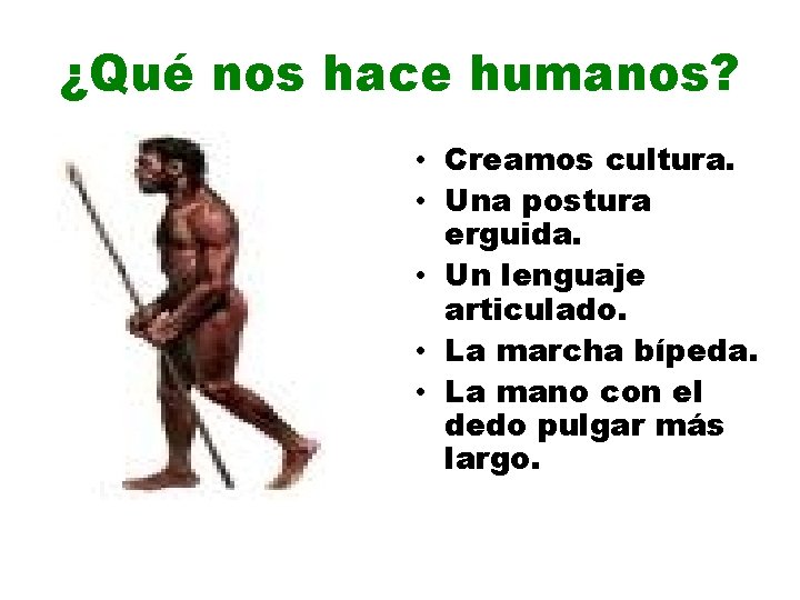 ¿Qué nos hace humanos? • Creamos cultura. • Una postura erguida. • Un lenguaje