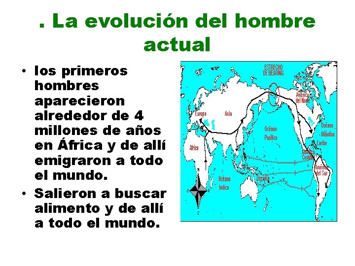 . La evolución del hombre actual • los primeros hombres aparecieron alrededor de 4
