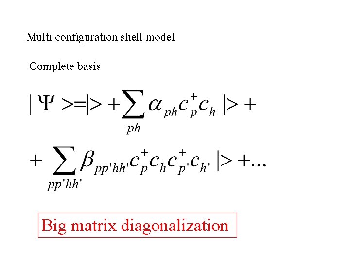 Multi configuration shell model Complete basis Big matrix diagonalization 