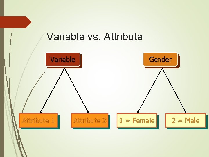 Variable vs. Attribute Variable Attribute 1 Attribute 2 Gender 1 = Female 2 = Variable vs. Attribute Variable Attribute 1 Attribute 2 Gender 1 = Female 2 =