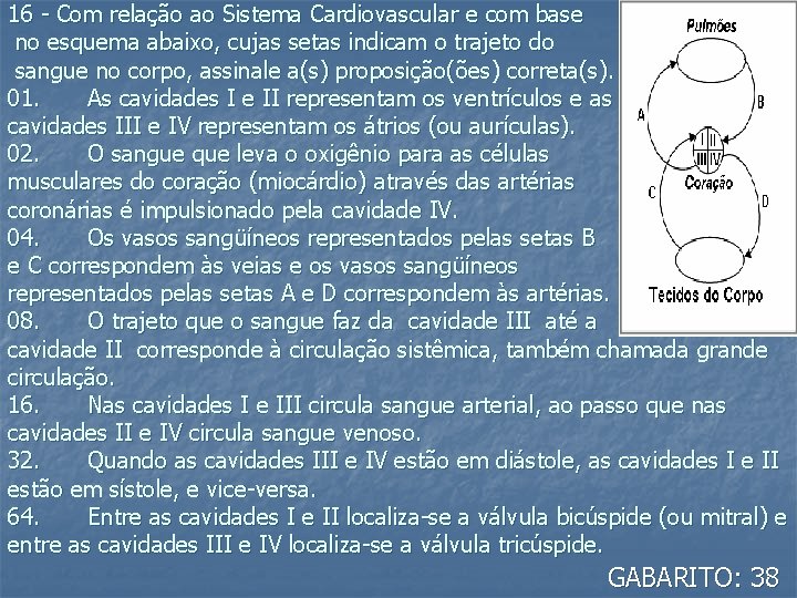 16 - Com relação ao Sistema Cardiovascular e com base no esquema abaixo, cujas