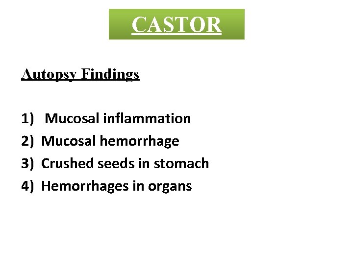 CASTOR Autopsy Findings 1) 2) 3) 4) Mucosal inflammation Mucosal hemorrhage Crushed seeds in