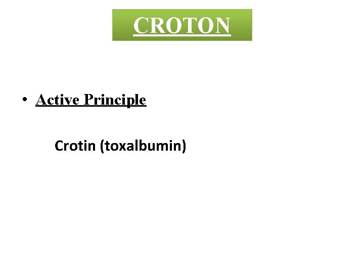 CROTON • Active Principle Crotin (toxalbumin) 