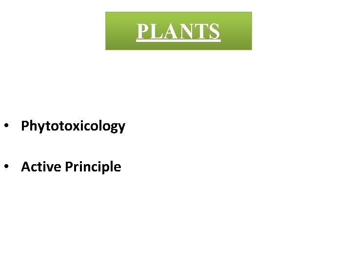 PLANTS • Phytotoxicology • Active Principle 