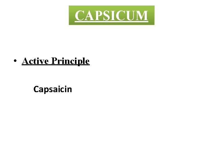 CAPSICUM • Active Principle Capsaicin 