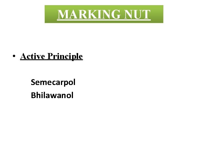 MARKING NUT • Active Principle Semecarpol Bhilawanol 