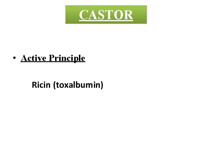 CASTOR • Active Principle Ricin (toxalbumin) 