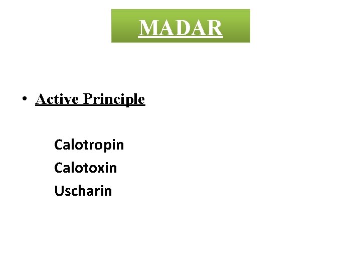 CROTON MADAR • Active Principle Calotropin Calotoxin Uscharin 