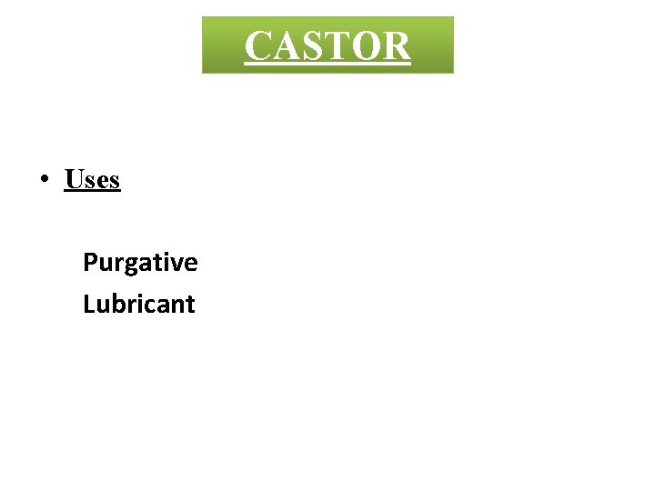 CASTOR • Uses Purgative Lubricant 