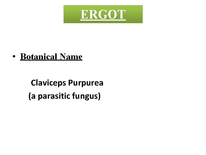 ERGOT • Botanical Name Claviceps Purpurea (a parasitic fungus) 