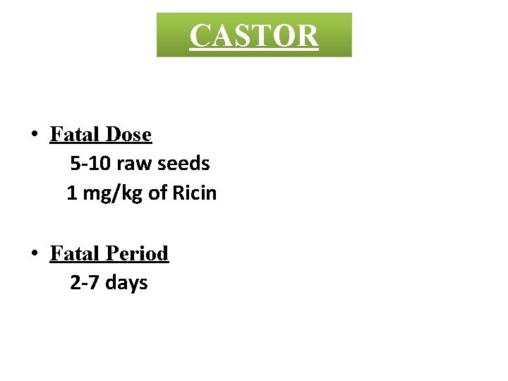 CASTOR • Fatal Dose 5 -10 raw seeds 1 mg/kg of Ricin • Fatal