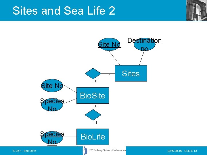 Sites and Sea Life 2 Site No 1 Site No Species No Destination no Sites and Sea Life 2 Site No 1 Site No Species No Destination no
