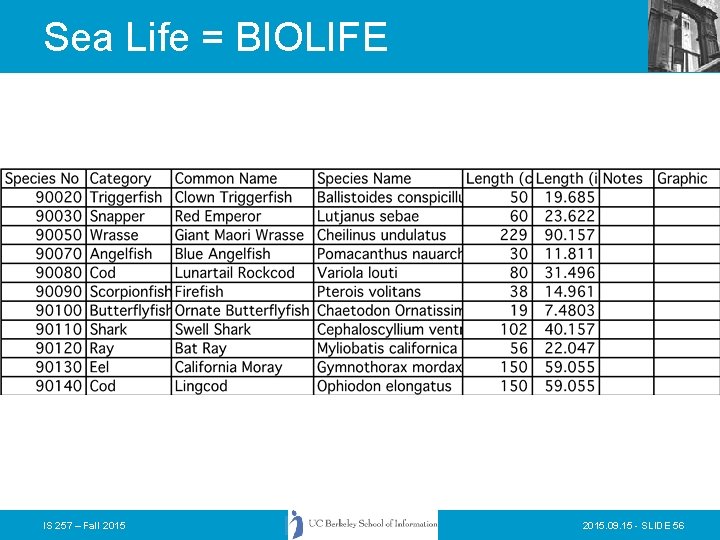 Sea Life = BIOLIFE IS 257 – Fall 2015. 09. 15 - SLIDE 56 Sea Life = BIOLIFE IS 257 – Fall 2015. 09. 15 - SLIDE 56