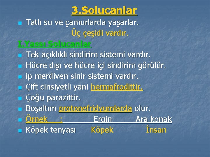 3. Solucanlar Tatlı su ve çamurlarda yaşarlar. Üç çeşidi vardır. I. Yassı Solucanlar n