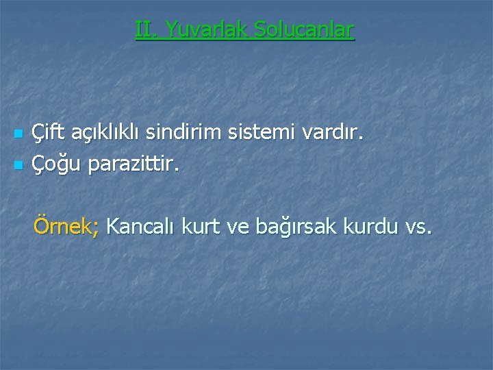 II. Yuvarlak Solucanlar n n Çift açıklıklı sindirim sistemi vardır. Çoğu parazittir. Örnek; Kancalı