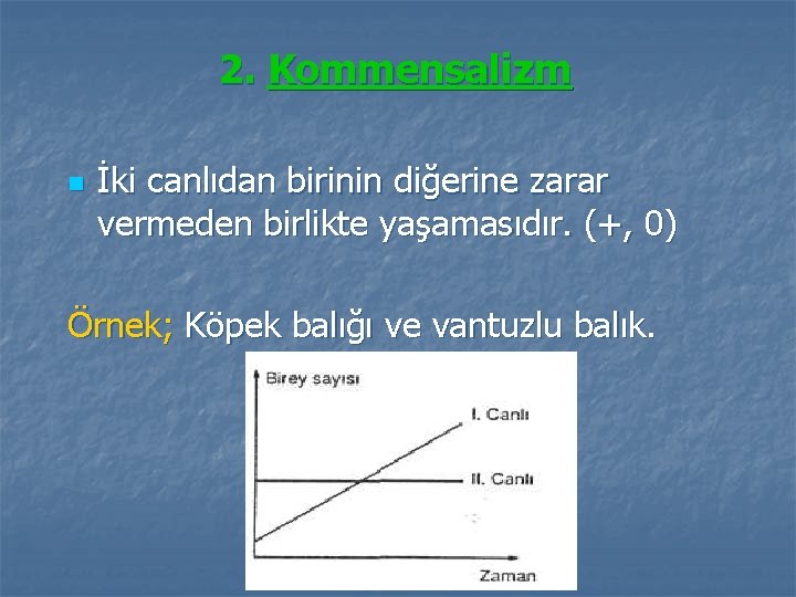 2. Kommensalizm n İki canlıdan birinin diğerine zarar vermeden birlikte yaşamasıdır. (+, 0) Örnek;